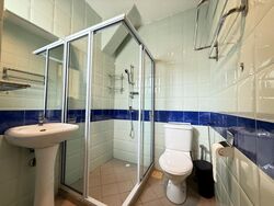 Chuan Place (D19), Semi-Detached #497267221